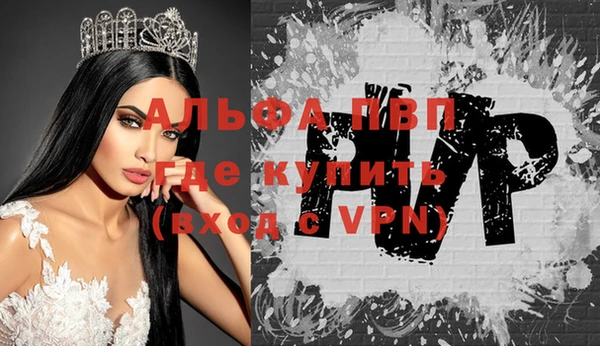 гидра Михайловка