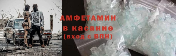 гидра Михайловка