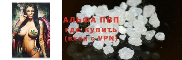 ГАЛЛЮЦИНОГЕННЫЕ ГРИБЫ Надым