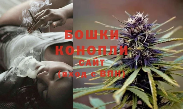 твердый Киселёвск