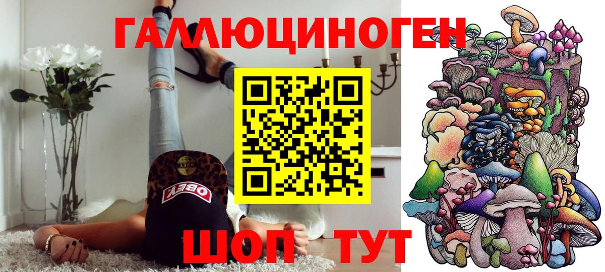 Псилоцибиновые грибы GOLDEN TEACHER  цены   Нурлат  Вход с VPN 