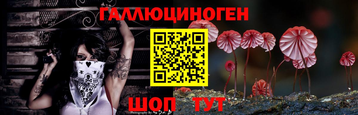 Псилоцибиновые грибы GOLDEN TEACHER  Нурлат 