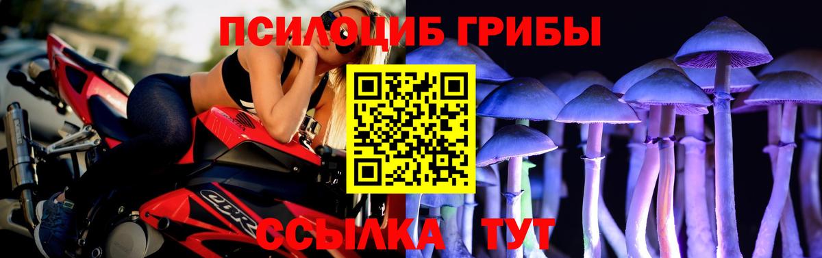 Псилоцибиновые грибы Magic Shrooms Нурлат