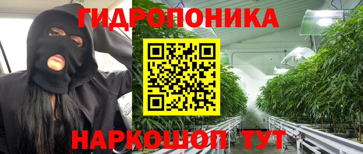 Конопля OG Kush Нурлат